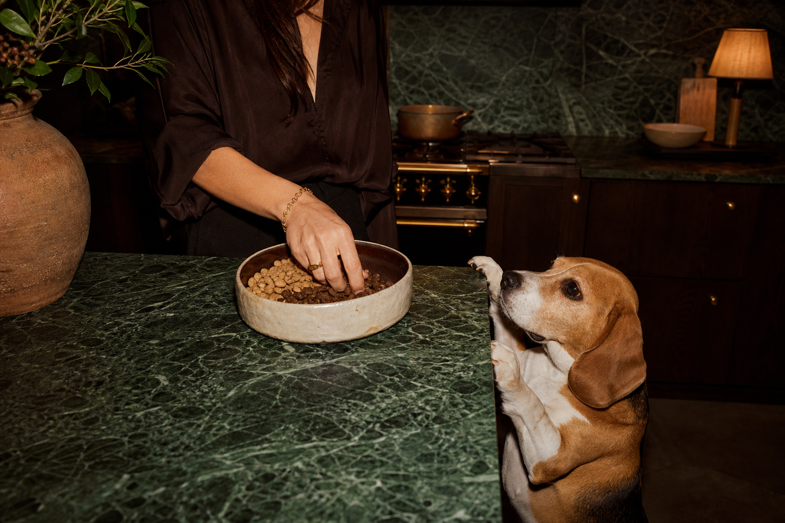 Hand mischt altes und neues Hundefutter in einem Napf, während ein Beagle aufmerksam zuschaut