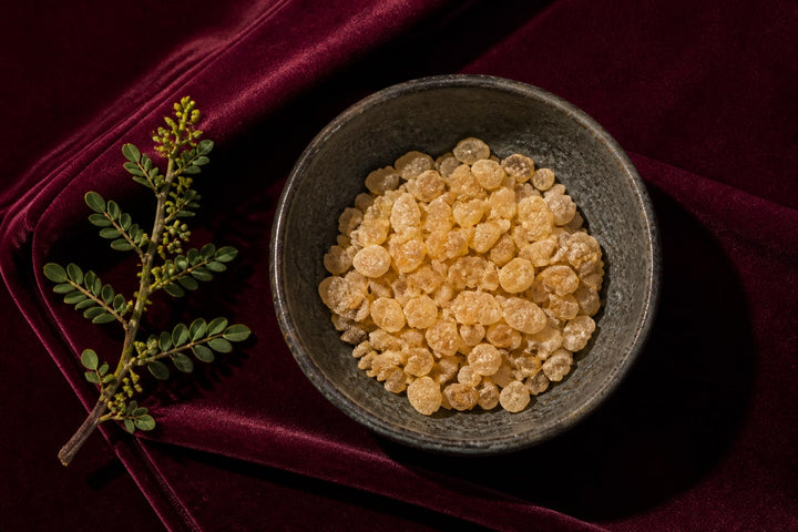 Boswellia serrata
