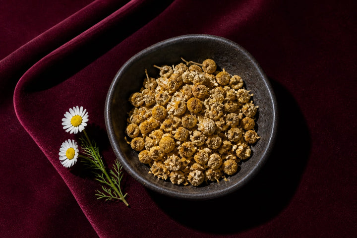Kamille (Matricaria recutita)