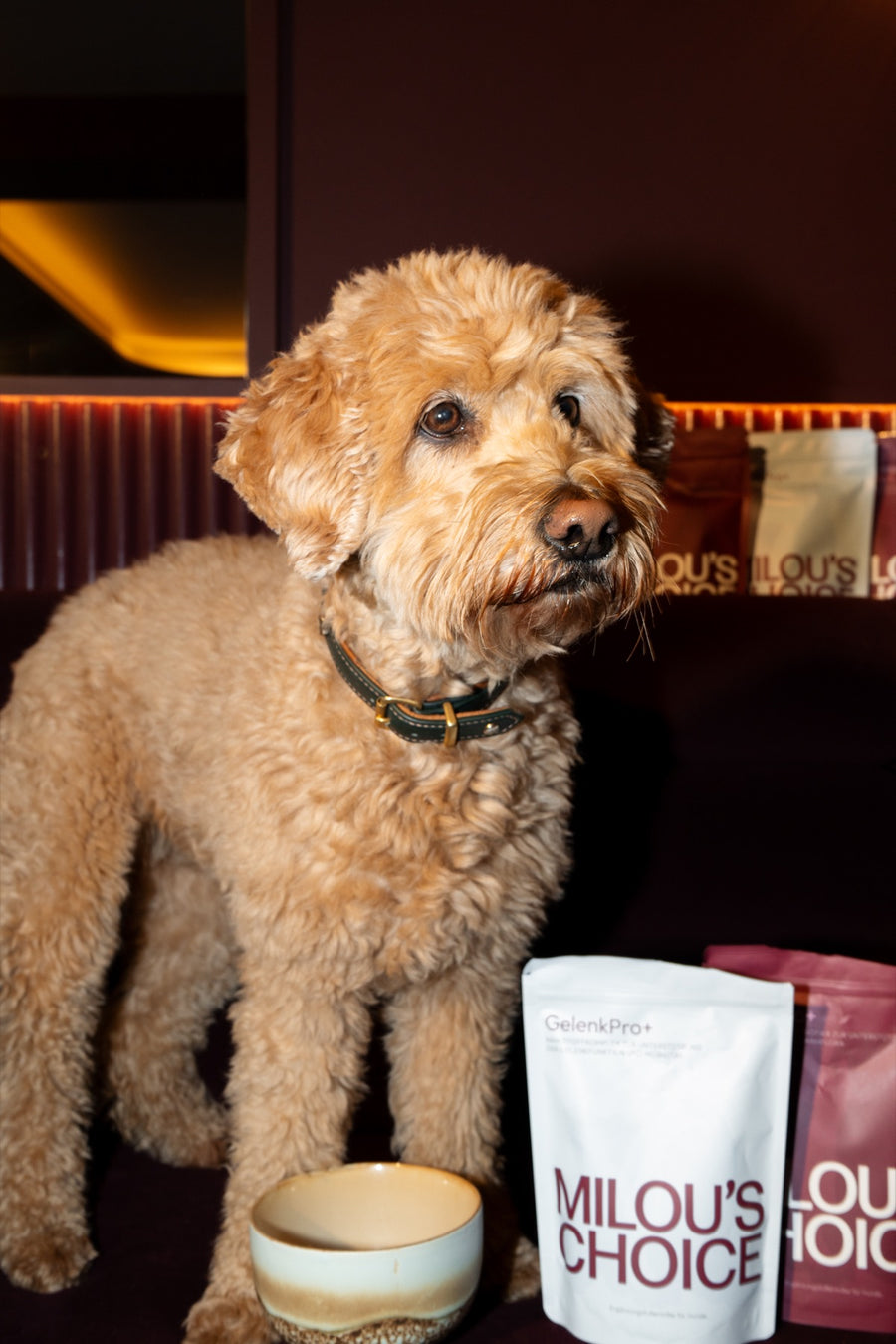 Hund wartet neben Milou's Choice Futtertoppings auf sein Futter