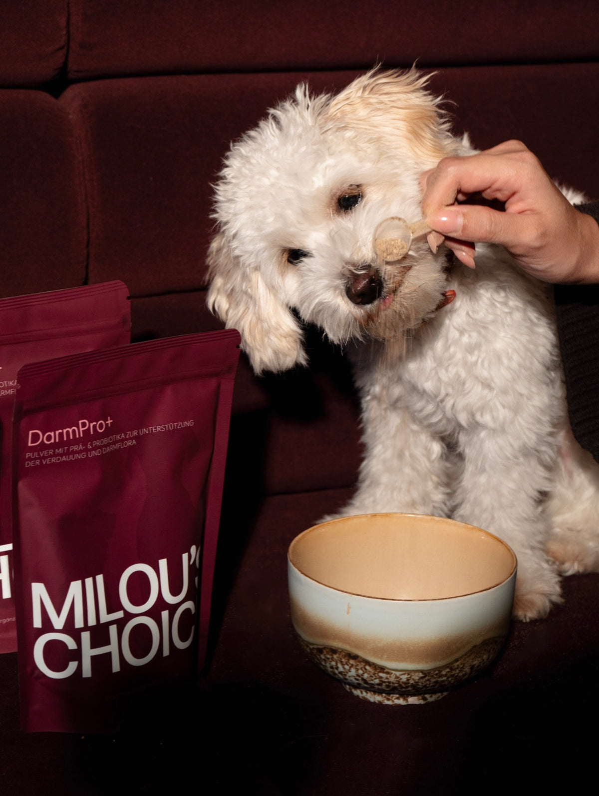 Hund bekommt ein Futtertopping von Milou's Choice aus der Hand gefüttert