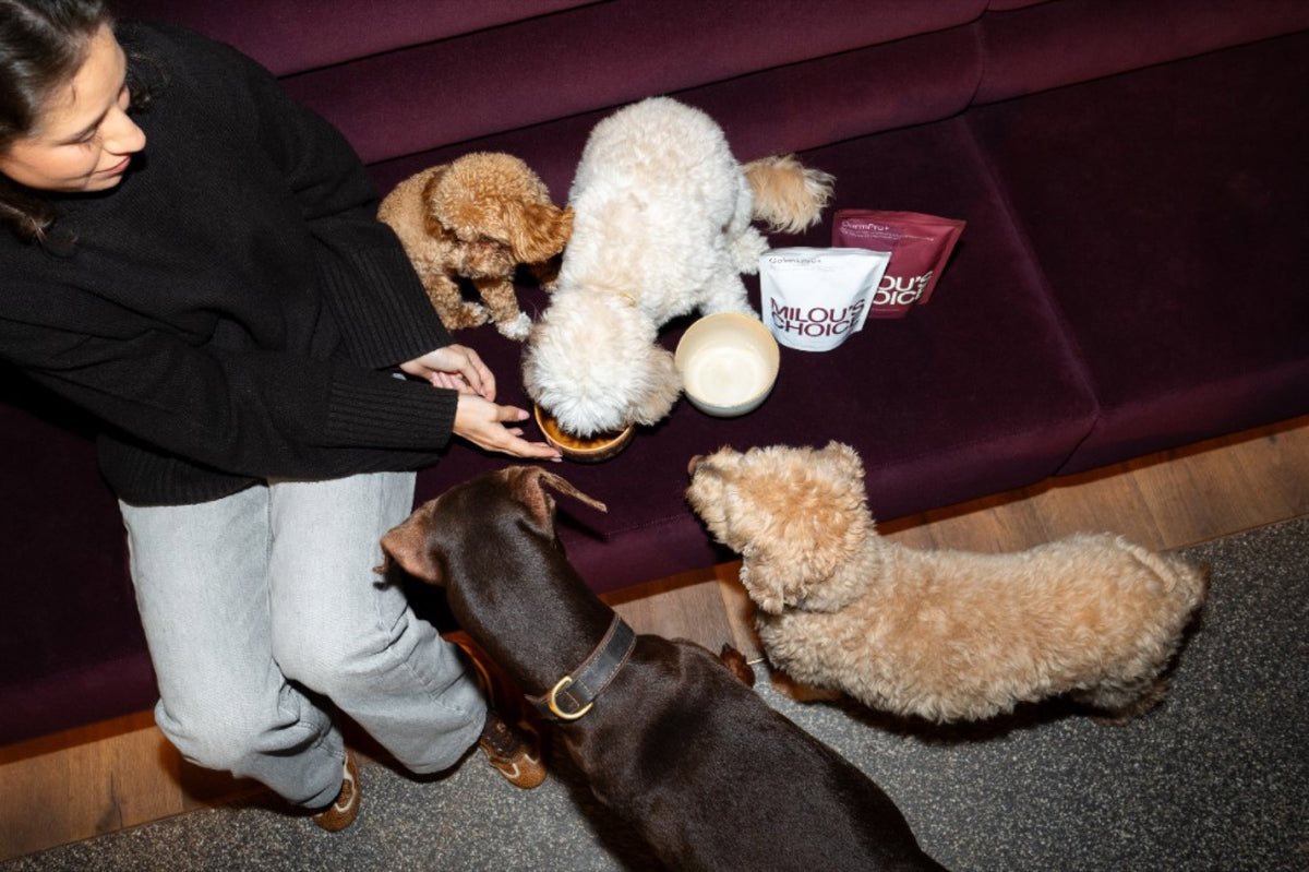Annabel füttert ihre Hunde mit Milou's Choice Futtertoppings auf der Lounge-Bank